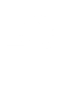 Fast Delivery