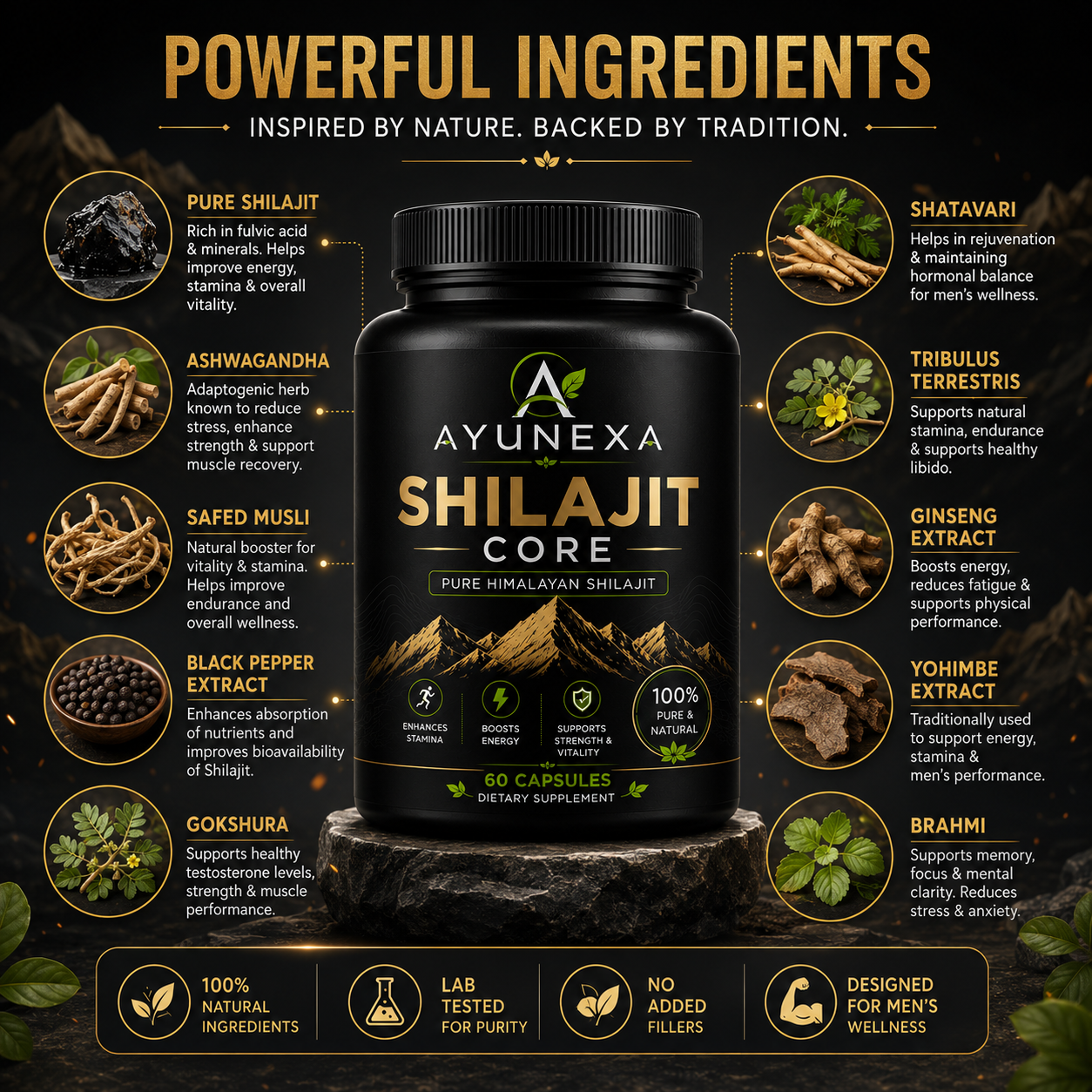 Ayunexa Shilajit Core Capsule